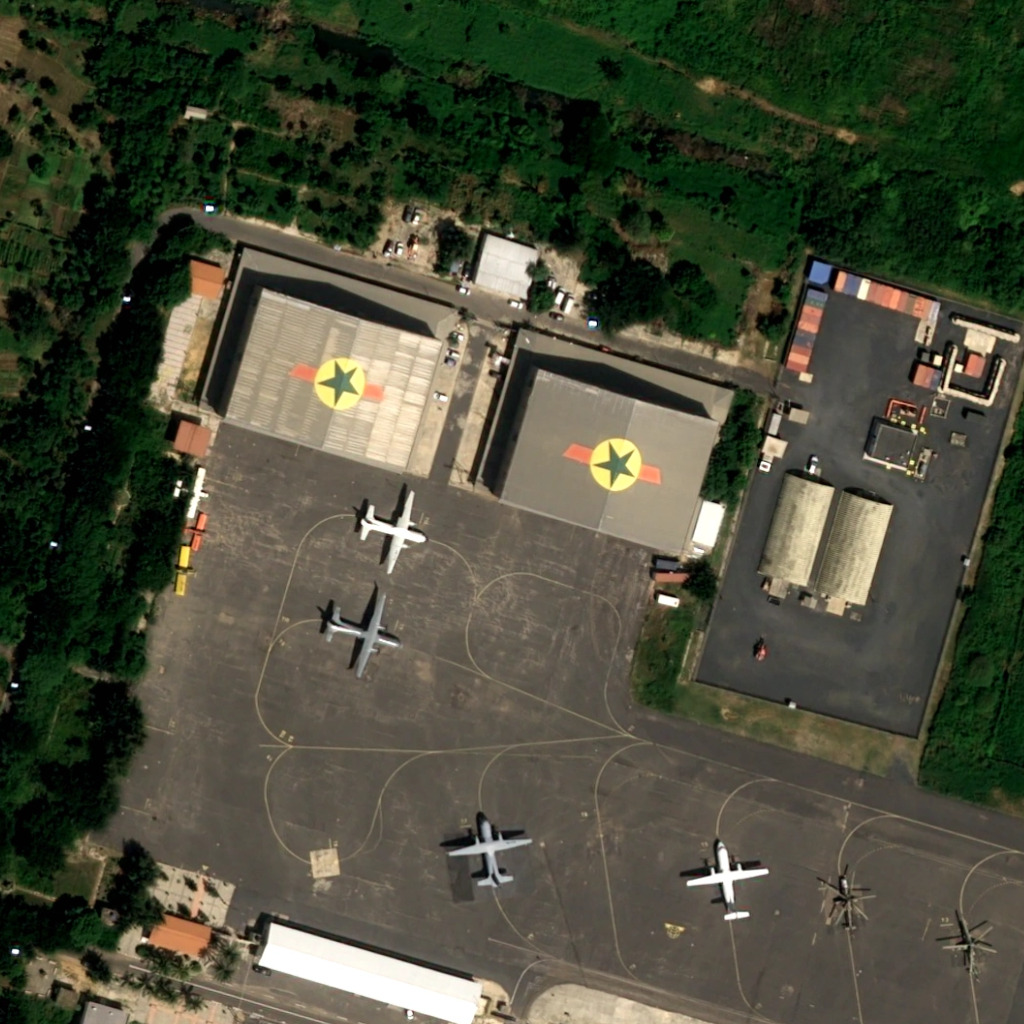Input — Pleiades Neo planes demo tile used by make export-demo